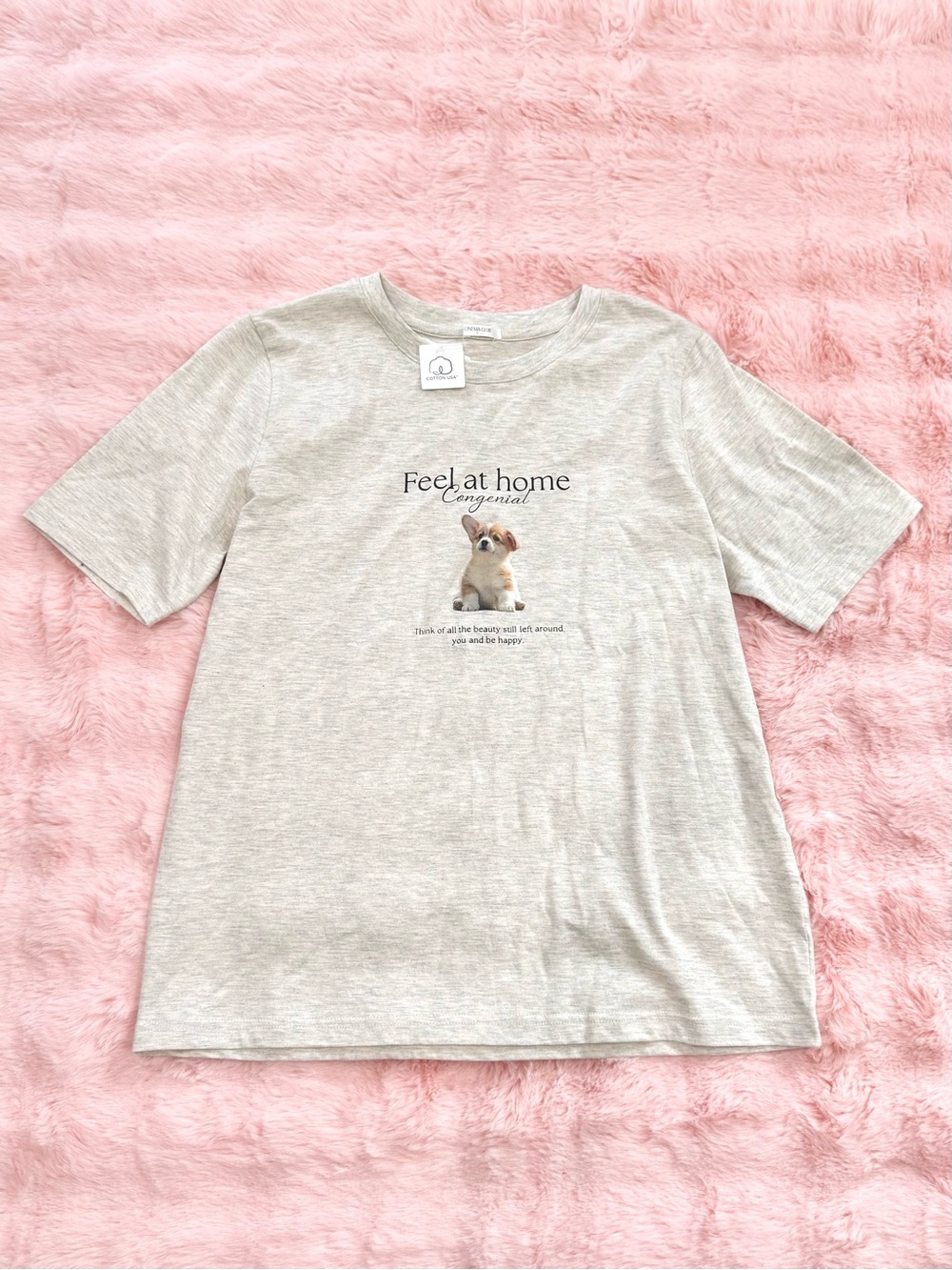Cinema Club Corgi Dog Japan T-Shirt